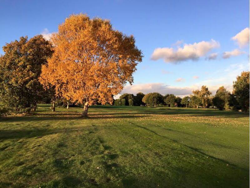 Welcome to the weekend with golf at Doncaster Town Moor Golf Club in South Yorkshire