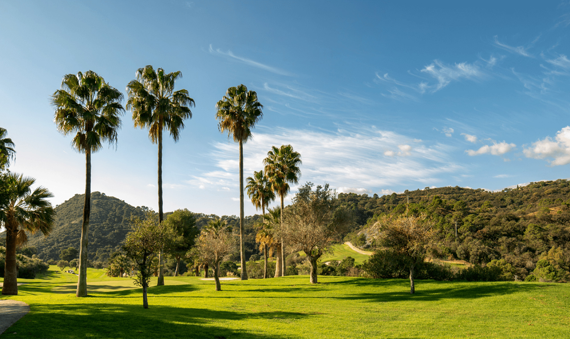 Our best courses along the Costa del Sol!